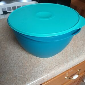 Tupperware 40 Cup Bowl